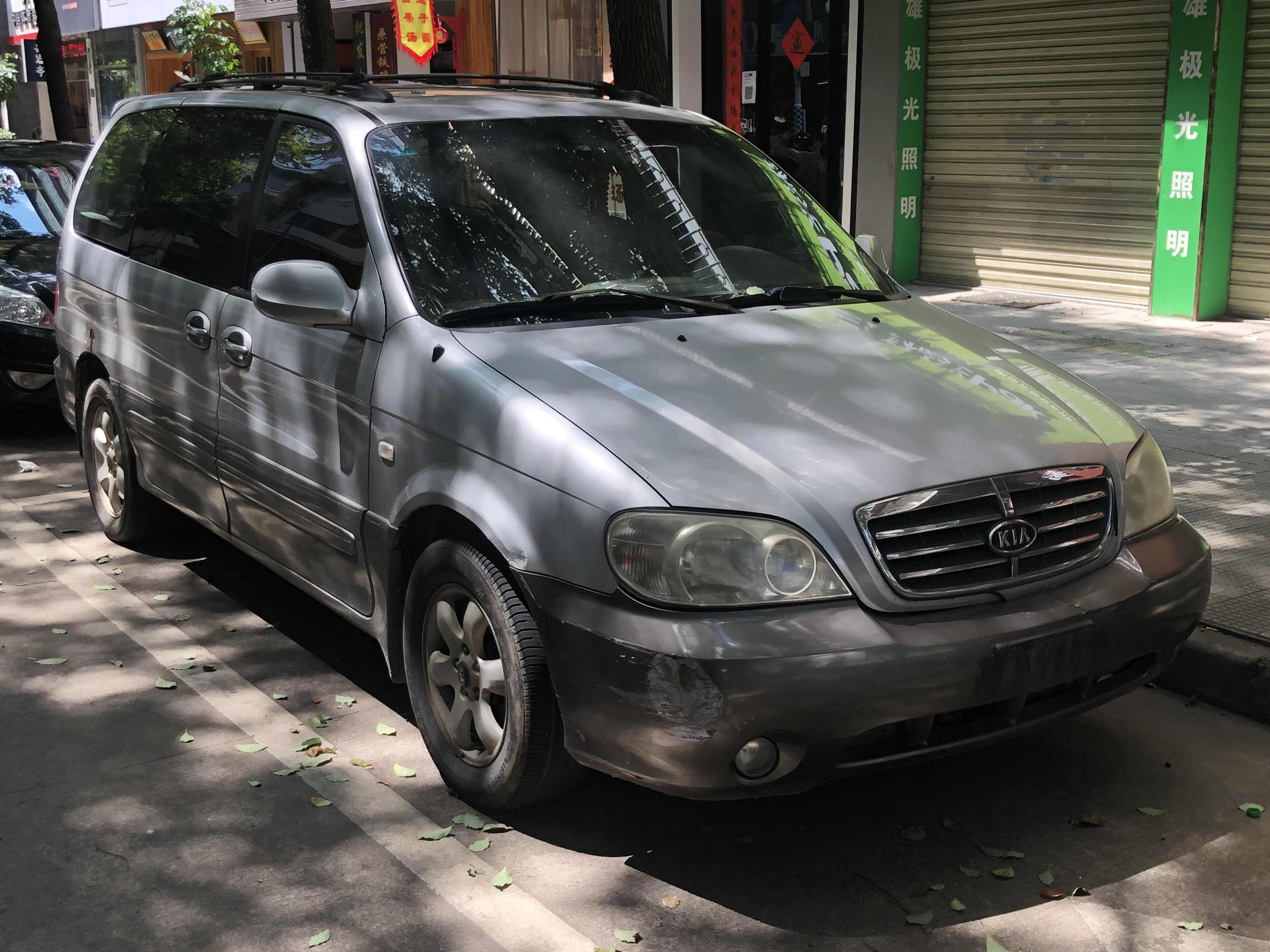 Hyundai entourage
