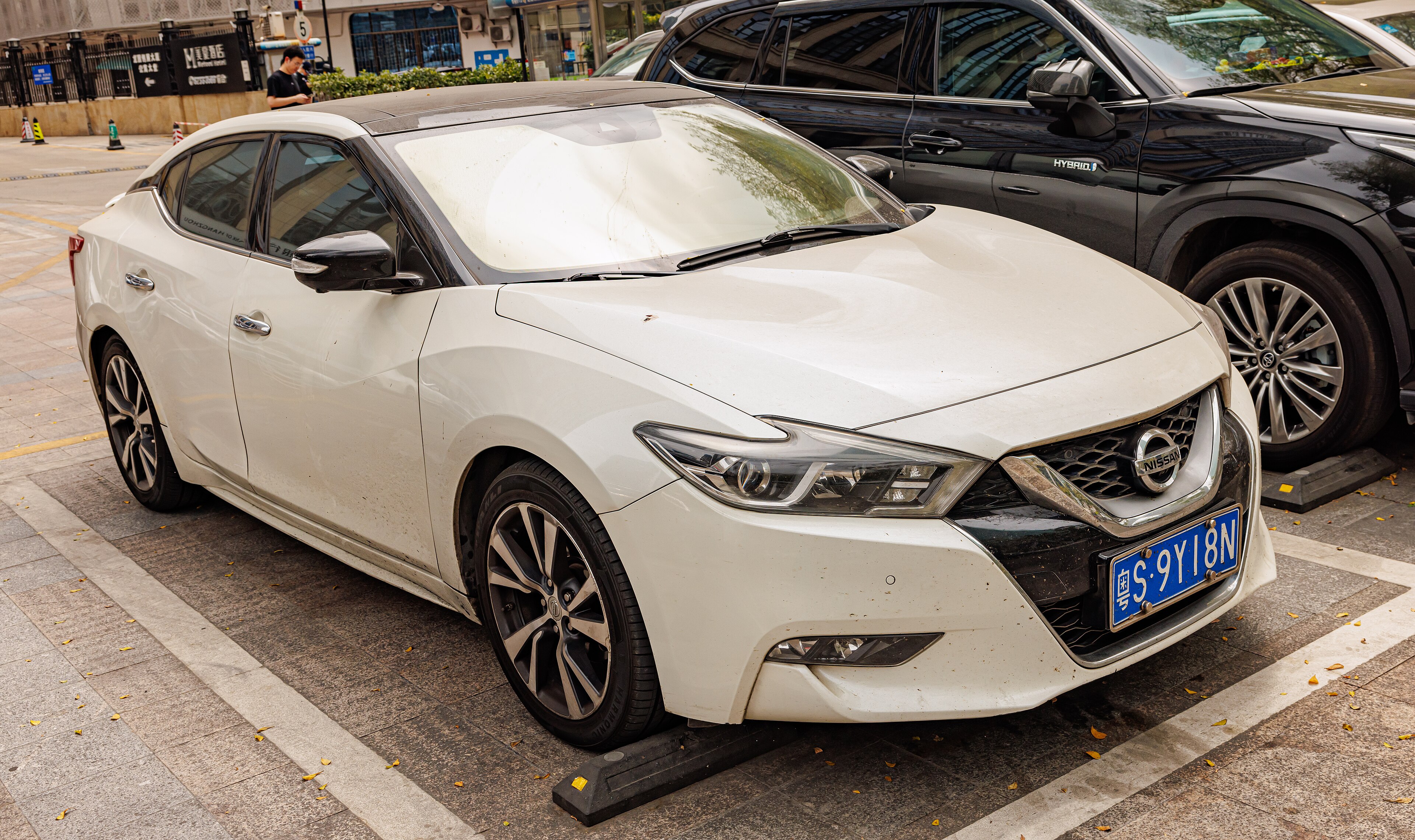 Nissan Maxima